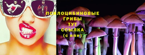 бошки Волоколамск