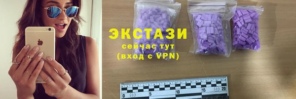 стаф Горняк