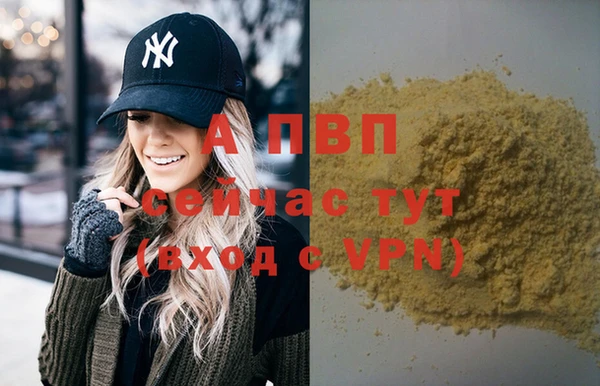Альфа ПВП Горно-Алтайск