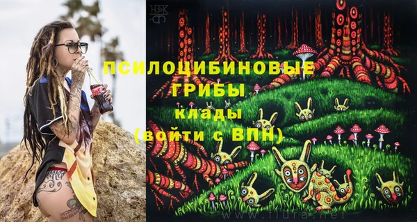 таблы Горнозаводск