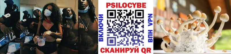 Псилоцибиновые грибы Psilocybe  где продают наркотики  Жигулёвск 